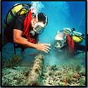 100 pics Jobs answers Diver