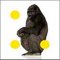 100 pics Animals answers Gorilla