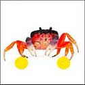 100 pics Animals answers Crab