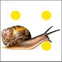 100 pics Animals answers Snail