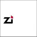 100 pics Logos answers Zippo