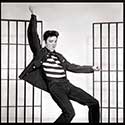 100 pics Music Stars answers Elvis Presley
