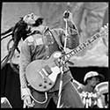 100 pics Music Stars answers Bob Marley
