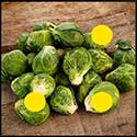 100 pics Winter answers Brussel Sprouts
