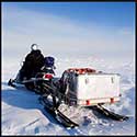 100 pics Winter answers Snowmobile