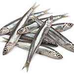 100 pics A Is For answers Anchovies