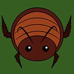 100 pics Animaru answers Cockroach