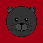 100 pics Animaru answers Panther
