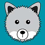 100 pics Animaru answers Arctic Fox