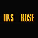 100 pics Band Logos answers Guns N Roses