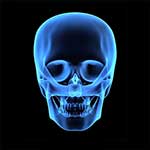 100 pics Body Parts answers Skull