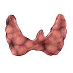 100 pics Body Parts answers Thyroid