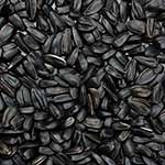 100 pics Cooking answers Sunflower Seeds