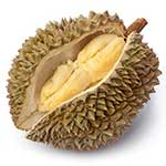 100 pics D Is For answers Durian