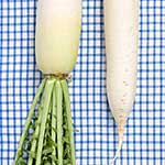 100 pics D Is For answers Daikon