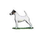 100 pics Dog Breeds answers Fox Terrier