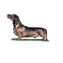 100 pics Dog Breeds answers Leonberger