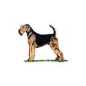 100 pics Dog Breeds answers Airedale