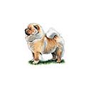100 pics Dog Breeds answers Chow Chow