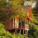 100 pics Dwellings answers Bamboo Hut