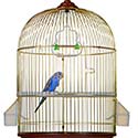 100 pics Dwellings answers Birdcage