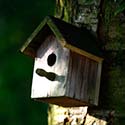 100 pics Dwellings answers Birdhouse
