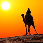 100 pics Experiences answers Ride A Camel