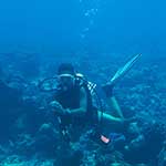 100 pics Experiences answers Scuba Dive
