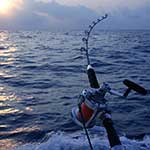 100 pics Experiences answers Deep Sea Fishing