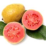 100 pics G Is For answers Guava