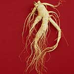 100 pics G Is For answers Ginseng
