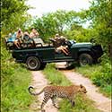 100 pics Holidays answers safari