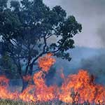 100 pics I Heart Australia answers Bush Fire