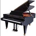 100 pics Instruments answers Grand Piano