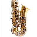 100 pics Instruments answers Saxophone