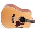 100 pics Instruments answers Acoustic Guitar