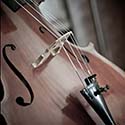 100 pics Instruments answers Cello