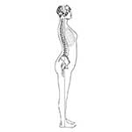 100 pics L Is For answers Lordosis
