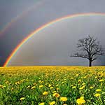 100 pics Nature answers Double Rainbow