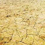 100 pics Nature answers Drought