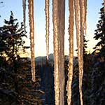 100 pics Nature answers Icicles