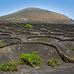 100 pics Nature answers Volcanic Soil