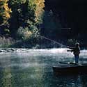 100 pics North America answers Fishing