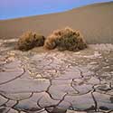 100 pics North America answers Desert