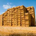 100 pics On The Farm answers Hay Stack