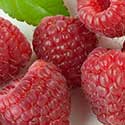 100 pics On The Farm answers Raspberries