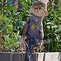 100 pics On The Farm answers Scarecrow