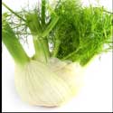 100 pics Plants answers fennel