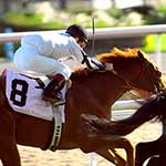 100 pics Sports answers Horse Racing