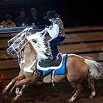 100 pics Sports answers Rodeo